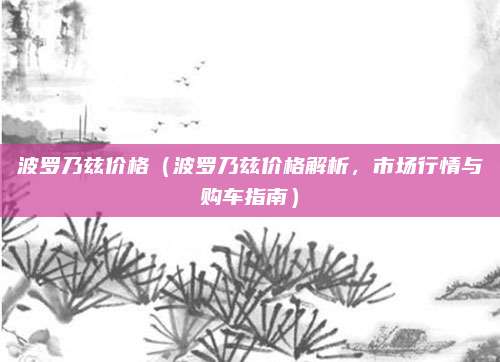 波罗乃兹价格(波罗乃兹价格解析,市场行情与购车指南)