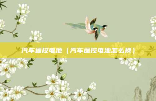 汽车遥控电池(汽车遥控电池怎么换)