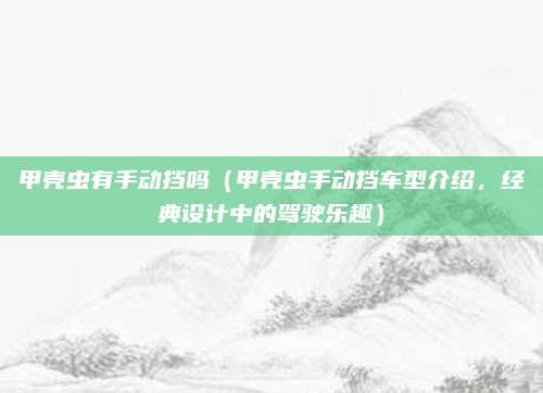 甲壳虫有手动挡吗（甲壳虫手动挡车型介绍，经典设计中的驾驶乐趣）