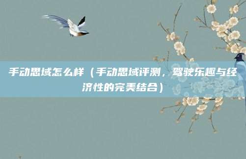 手动思域怎么样（手动思域评测，驾驶乐趣与经济性的完美结合）