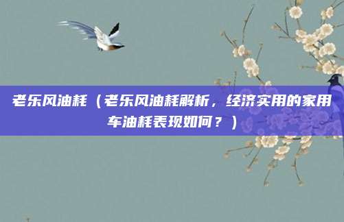 老乐风油耗（老乐风油耗解析，经济实用的家用车油耗表现如何？）