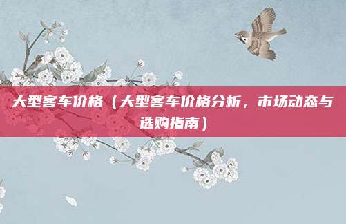 大型客车价格（大型客车价格分析，市场动态与选购指南）