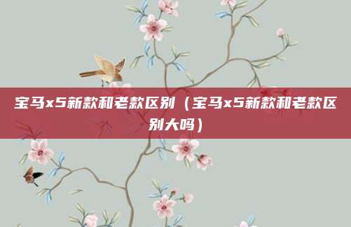 宝马x5新款和老款区别(宝马x5新款和老款区别大吗)