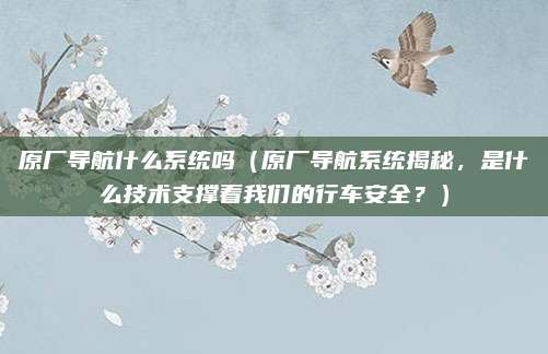 原厂导航什么系统吗（原厂导航系统揭秘，是什么技术支撑着我们的行车安全？）