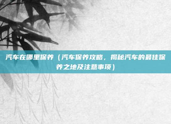 汽车在哪里保养（汽车保养攻略，揭秘汽车的最佳保养之地及注意事项）