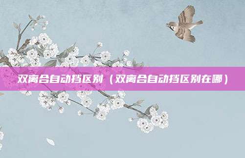 双离合自动挡区别(双离合自动挡区别在哪)