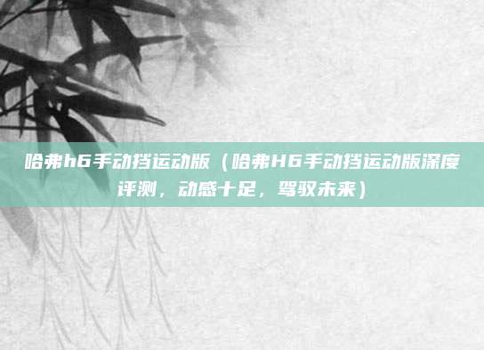 哈弗h6手动挡运动版（哈弗H6手动挡运动版深度评测，动感十足，驾驭未来）