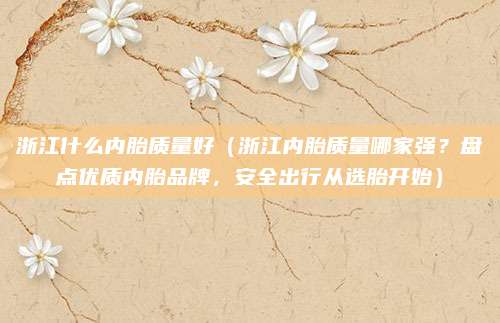 浙江什么内胎质量好（浙江内胎质量哪家强？盘点优质内胎品牌，安全出行从选胎开始）