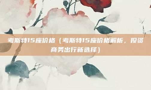 考斯特15座价格（考斯特15座价格解析，投资商务出行新选择）