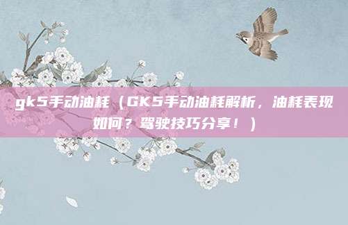 gk5手动油耗（GK5手动油耗解析，油耗表现如何？驾驶技巧分享！）
