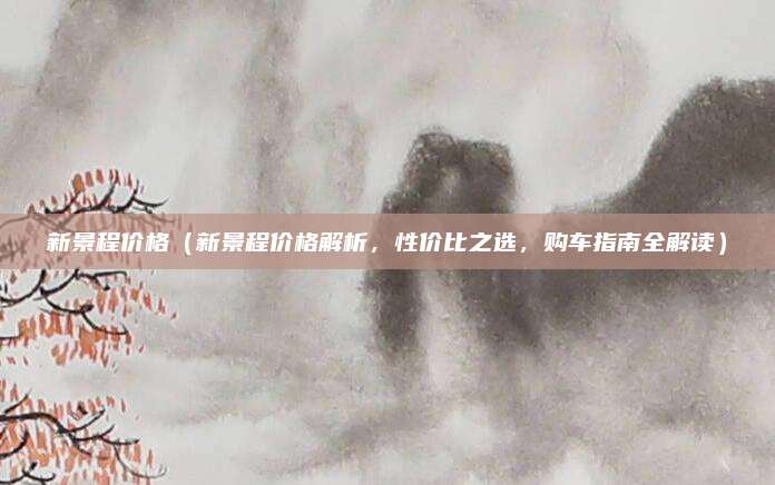 新景程价格（新景程价格解析，性价比之选，购车指南全解读）