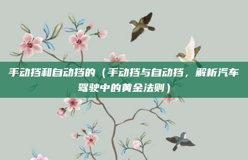手动挡和自动挡的（手动挡与自动挡，解析汽车驾驶中的黄金法则）