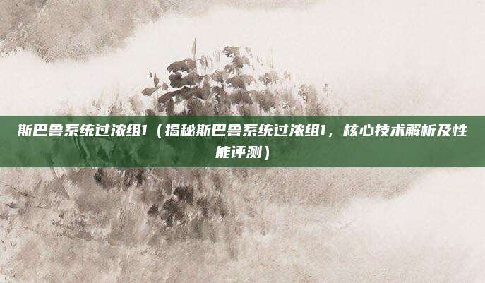 斯巴鲁系统过浓组1（揭秘斯巴鲁系统过浓组1，核心技术解析及性能评测）