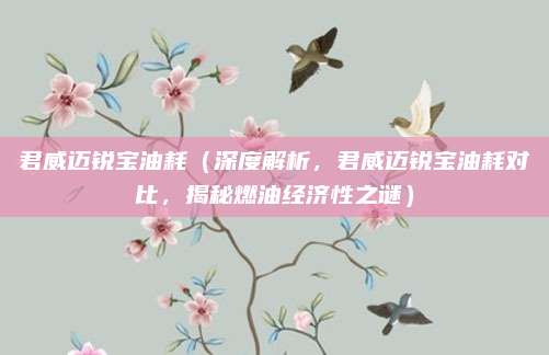 君威迈锐宝油耗（深度解析，君威迈锐宝油耗对比，揭秘燃油经济性之谜）