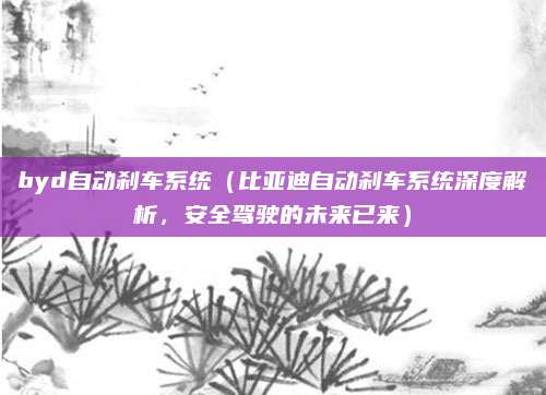 byd自动刹车系统（比亚迪自动刹车系统深度解析，安全驾驶的未来已来）