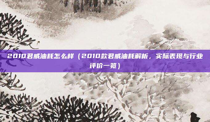 2010君威油耗怎么样（2010款君威油耗解析，实际表现与行业评价一览）