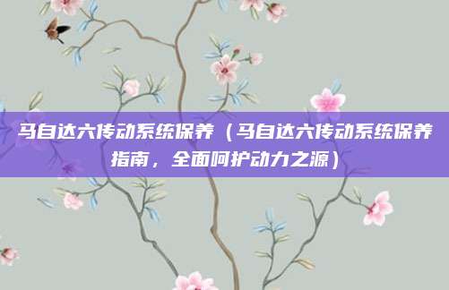 马自达六传动系统保养（马自达六传动系统保养指南，全面呵护动力之源）