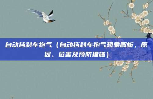 自动挡刹车抱气（自动挡刹车抱气现象解析，原因、危害及预防措施）