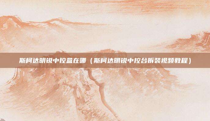 斯柯达明锐中控盒在哪(斯柯达明锐中控台拆装视频教程)