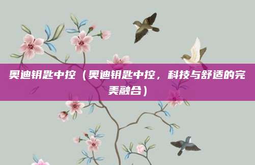 奥迪钥匙中控（奥迪钥匙中控，科技与舒适的完美融合）