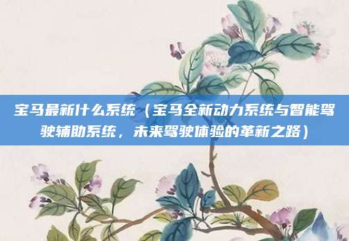 宝马最新什么系统（宝马全新动力系统与智能驾驶辅助系统，未来驾驶体验的革新之路）