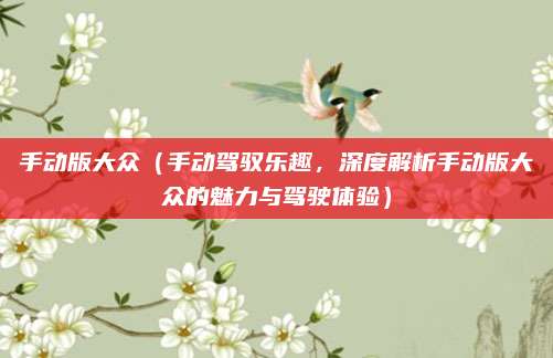 手动版大众（手动驾驭乐趣，深度解析手动版大众的魅力与驾驶体验）