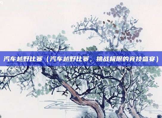 汽车越野比赛（汽车越野比赛，挑战极限的竞技盛宴）