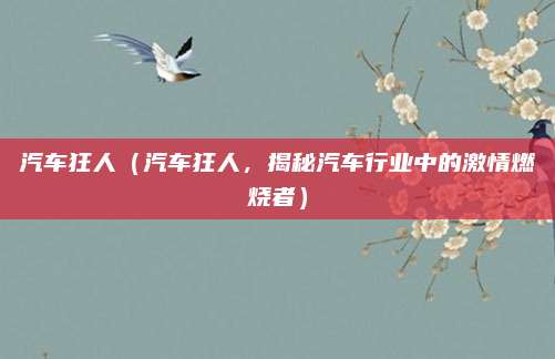 汽车狂人（汽车狂人，揭秘汽车行业中的激情燃烧者）