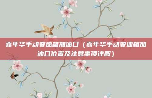 嘉年华手动变速箱加油口（嘉年华手动变速箱加油口位置及注意事项详解）