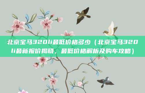 北京宝马320li最低价格多少（北京宝马320li最新报价揭晓，最低价格解析及购车攻略）