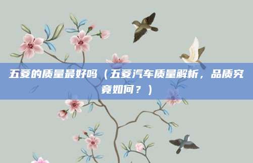 五菱的质量最好吗（五菱汽车质量解析，品质究竟如何？）