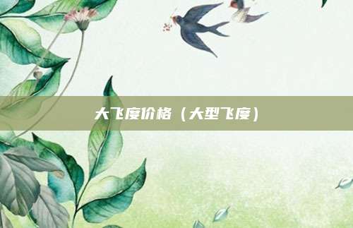 大飞度价格(大型飞度)