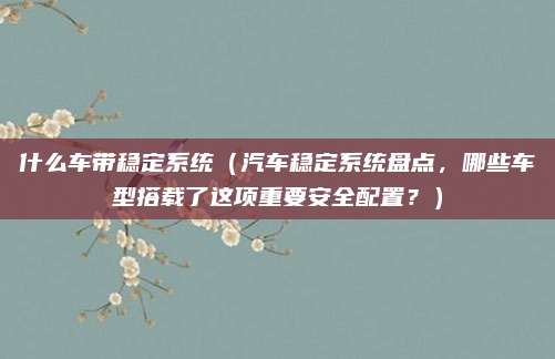 什么车带稳定系统（汽车稳定系统盘点，哪些车型搭载了这项重要安全配置？）