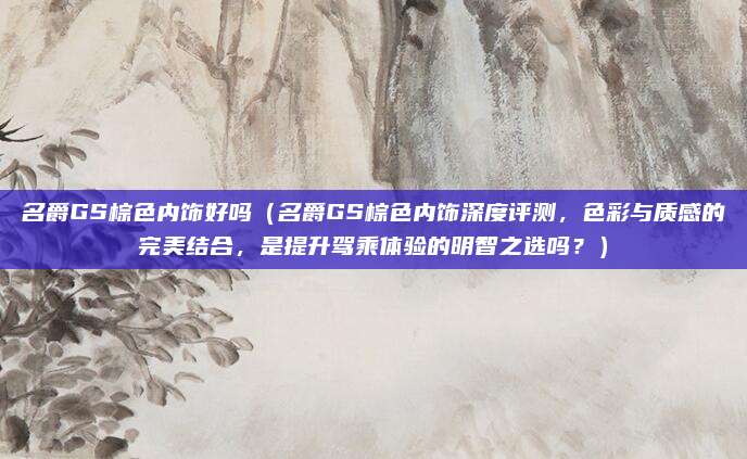 名爵GS棕色内饰好吗（名爵GS棕色内饰深度评测，色彩与质感的完美结合，是提升驾乘体验的明智之选吗？）
