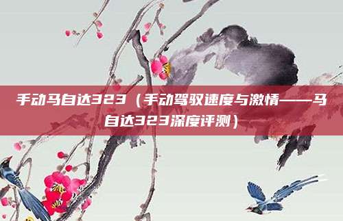 手动马自达323（手动驾驭速度与激情——马自达323深度评测）
