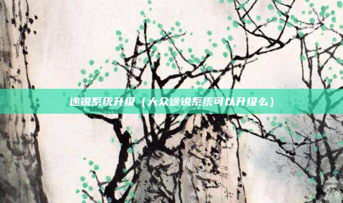 途锐系统升级(大众途锐系统可以升级么)