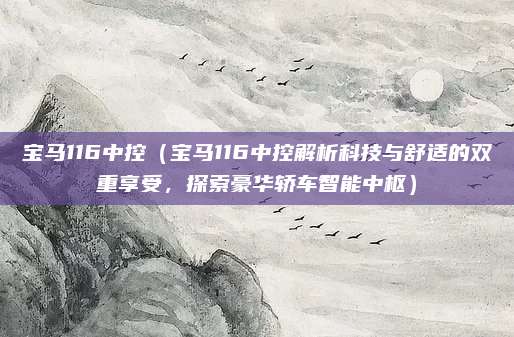宝马116中控（宝马116中控解析科技与舒适的双重享受，探索豪华轿车智能中枢）
