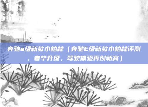 奔驰e级新款小柏林（奔驰E级新款小柏林评测，奢华升级，驾驶体验再创新高）