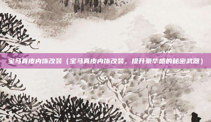宝马真皮内饰改装（宝马真皮内饰改装，提升豪华感的秘密武器）