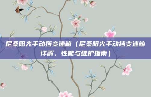 尼桑阳光手动挡变速箱（尼桑阳光手动挡变速箱详解，性能与维护指南）