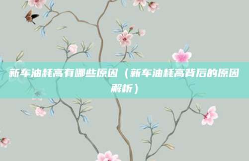 新车油耗高有哪些原因（新车油耗高背后的原因解析）