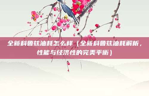 全新科鲁兹油耗怎么样（全新科鲁兹油耗解析，性能与经济性的完美平衡）