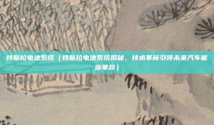 特斯拉电池系统（特斯拉电池系统揭秘，技术革新引领未来汽车能源革命）
