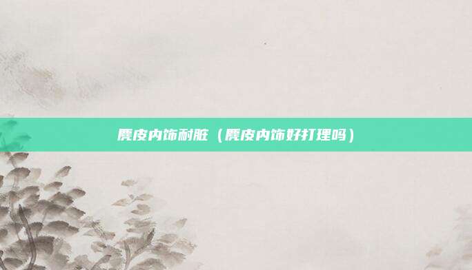 麂皮内饰耐脏(麂皮内饰好打理吗)