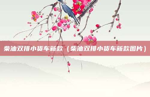 柴油双排小货车新款(柴油双排小货车新款图片)