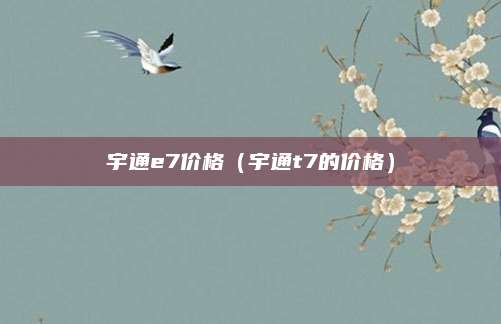 宇通e7价格(宇通t7的价格)