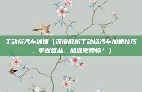 手动档汽车加速（深度解析手动档汽车加速技巧，掌握这些，加速更顺畅！）