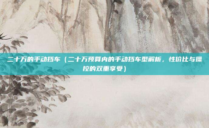 二十万的手动挡车（二十万预算内的手动挡车型解析，性价比与操控的双重享受）