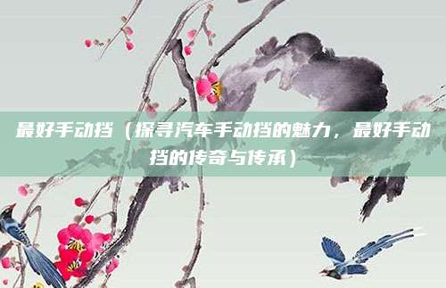 最好手动挡（探寻汽车手动挡的魅力，最好手动挡的传奇与传承）