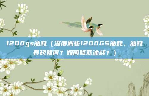 1200gs油耗（深度解析1200GS油耗，油耗表现如何？如何降低油耗？）